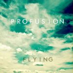 flying-profusion 